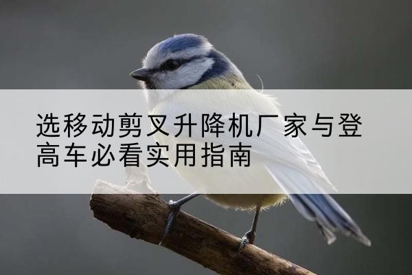 衡山电动升降机厂家-选移动剪叉升降机厂家与登高车必看实用指南