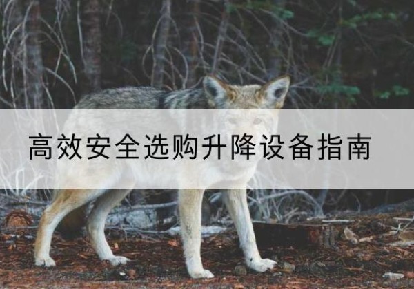衡山升降货梯厂家推荐-*安全选购升降设备指南