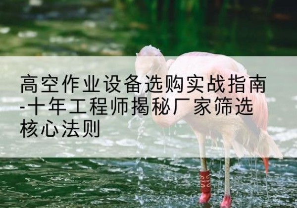 衡山剪叉式升降机厂家-高空作业设备选购实战指南-十年工程师揭秘厂家筛选核心法则